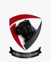 Seguridad Integral Corso SpA